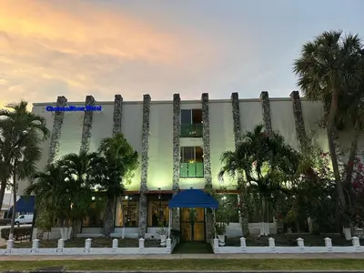 a building with palm trees in front of it at Hotel Chateaubleau in Miami