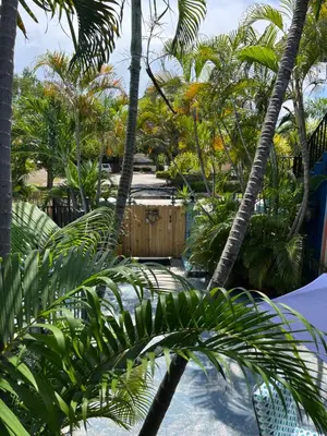 a garden with palm trees and a wooden fence at Blue Bell Apartment Hotel in Fort Lauderdale