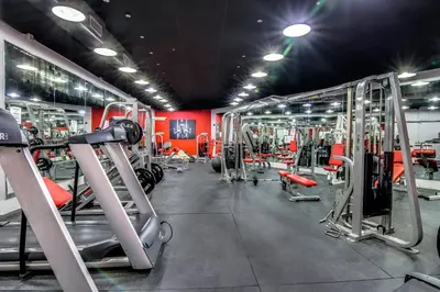 a gym with several rows of tread machines at Castle 1033 in Miami Beach
