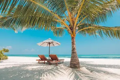 a palm tree and two chairs and an umbrella on a beach at Gorgeous Beachy Chic Condo in Key Biscayne in Miami