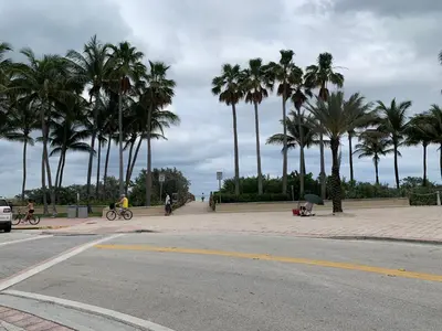 a street with palm trees and people riding bikes at Dream Studio on the Beach in Miami Beach