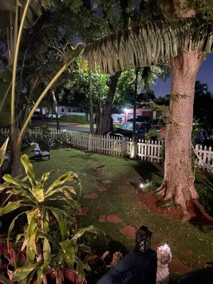 a garden at night with a fence and a tree at Ne Miami Cottage in Miami