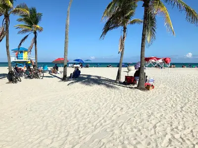 a group of palm trees on a sandy beach at Hollywood Beach Apartments - Walk to the Beach in Hollywood