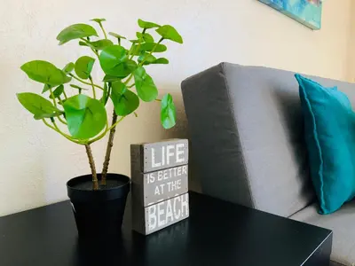 a plant in a pot on a table next to a couch at Hollywood Beach Apartments - Walk to the Beach in Hollywood