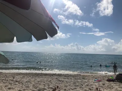 a group of people swimming in the water at the beach at The Blue Island in Miami Beach