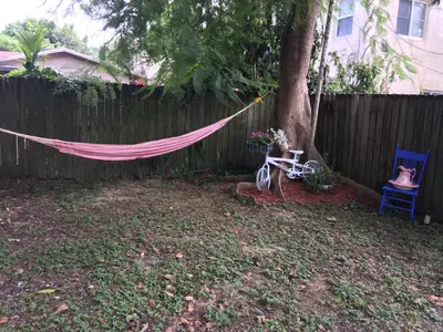 a hammock tied to a tree in a yard at Heavenly Suite in Little Havana Free Parking in Miami