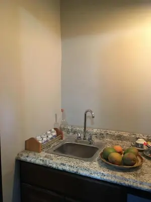 a kitchen counter with a sink and a bowl of fruit at Heavenly Suite in Little Havana Free Parking in Miami