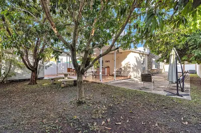 a tree in a yard with a bench and an umbrella at Private room in Little Havana in Miami