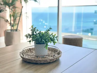 a potted plant sitting on top of a table at Amplio y moderno departamento con acceso directo a la playa in Hollywood