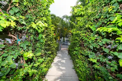 a garden path through a hedge with a gate at Sunny Days Apartments in Miami Beach