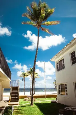 a palm tree next to a house and the beach at Neptune Oceanfront Rentals in Hollywood