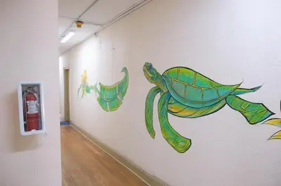 a wall with a drawing of a turtle on it at Little Havana Executive 11 in Miami