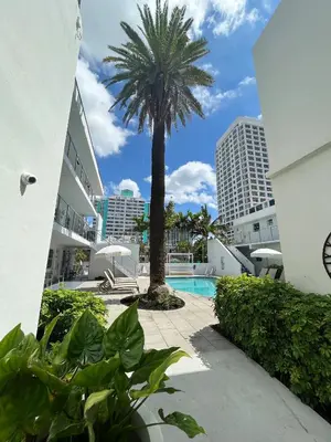a palm tree and a swimming pool in a building at Aqua Hotel in Fort Lauderdale