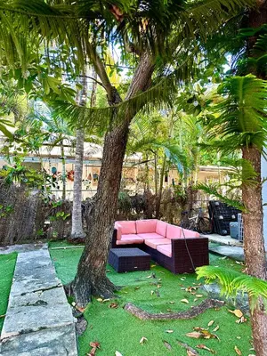 a pink couch sitting under a tree in a yard at Miami House in Miami