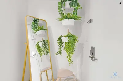 a mirror with potted plants on a wall at Tropical Apartment - Balcony - Resort, Pool - Gym in Hallandale Beach