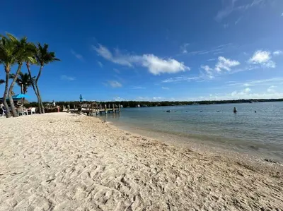 a sandy beach with palm trees and the water at Vacay Spot experience Luna Sky! 65