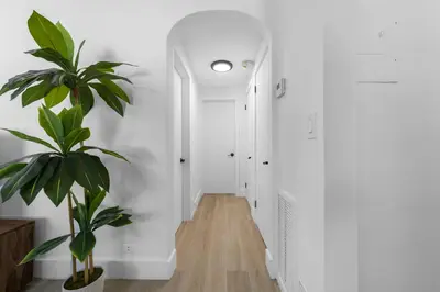 a hallway with white walls and a potted plant at The Blue Parrot in Fort Lauderdale
