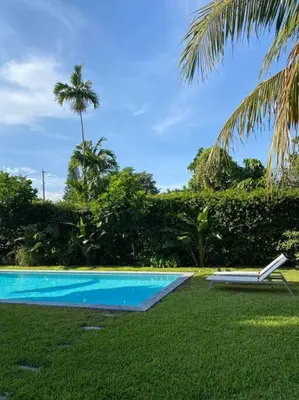 a swimming pool with a chair next to a palm tree at Miami guest house with large pool in Miami