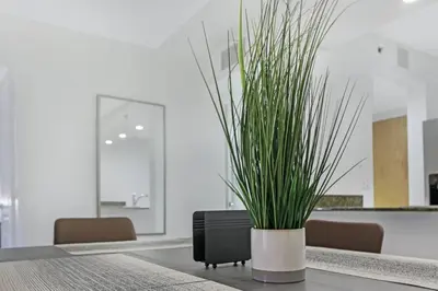 a potted plant sitting on a table in an office at Deluxe 1 BR suite with Pool, Parking, Balcony and Ocean Views in Miami