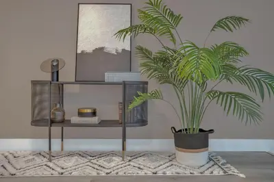 a potted plant sitting on a rug next to a shelf at Stunning 2 Story Villa with Pool in Fort Lauderdale