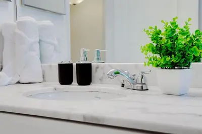 a bathroom sink with a potted plant and a mirror at Iconic Sunset Views with Pool, Hot tub, GYM, and Parking in Miami