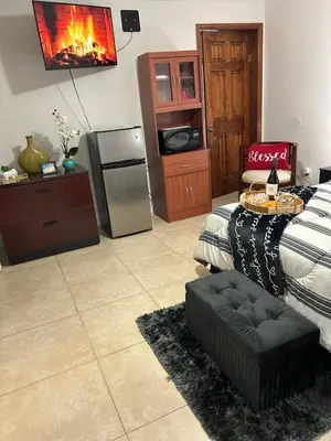 a living room with a bed and a fireplace at Paradise in Miami