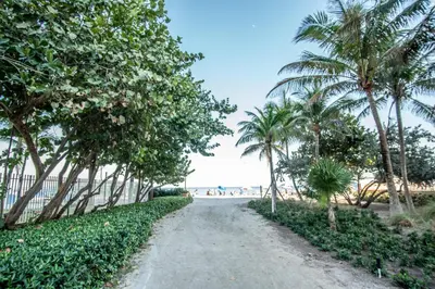 a dirt road next to a beach with palm trees at Ocean Reserve 818 in Miami Beach