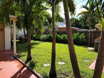 a group of palm trees in a yard at Tropical Charm Little Havana Calle Ocho 3 in Miami